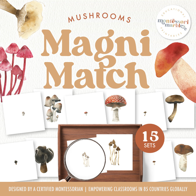 Mushroom magnifying glass matching activity for fall observation