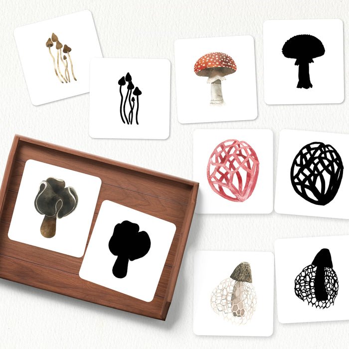 Mushrooms & Fungi Shadow Matching