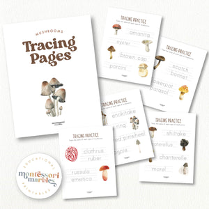 Mushrooms & Fungi Tracing Pages