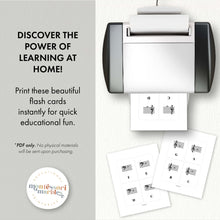 Load image into Gallery viewer, Music Notes Flash Cards
