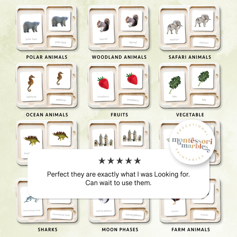 Nomenclature Cards Mega Bundle 1