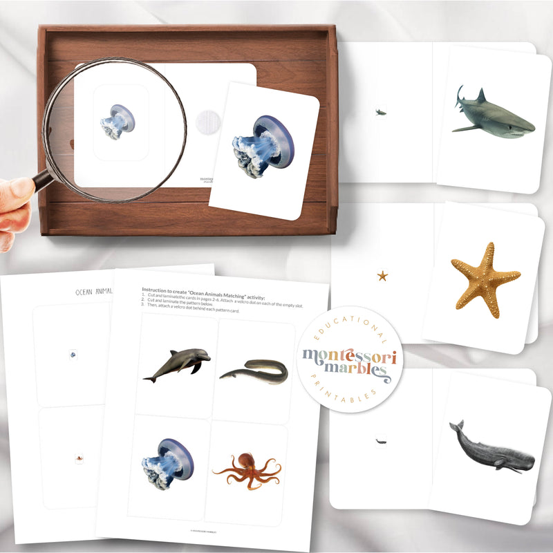 Ocean Animals Magni Match