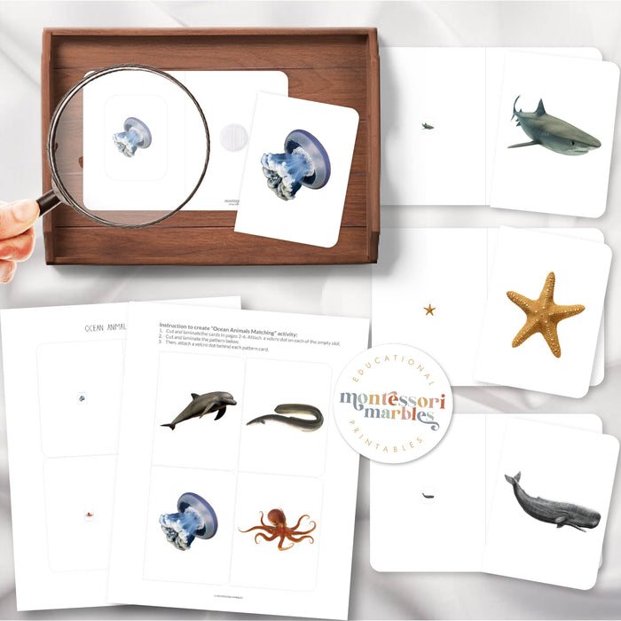Ocean Animals Magni-Match