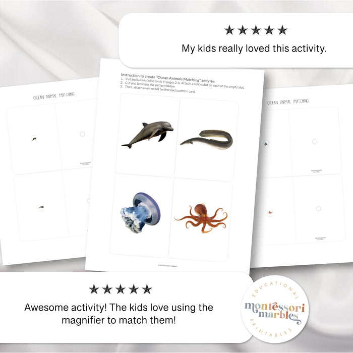 Ocean Animals Magni-Match