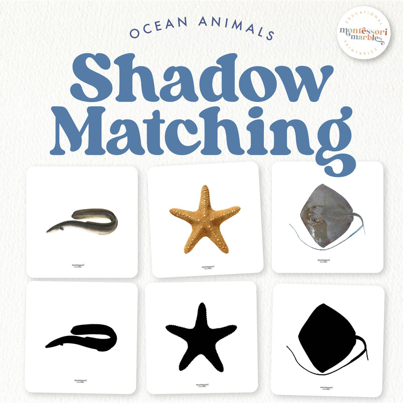 Ocean animal silhouettes for shadow matching and identification