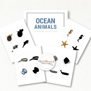 Ocean Animals Shadow Matching