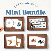 Ocean animals activity bundle with summer themes