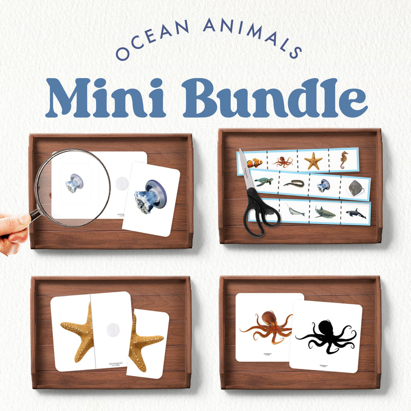 Ocean animals activity bundle with summer themes