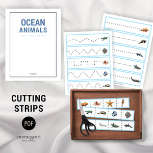 Ocean Animals Mini Bundle
