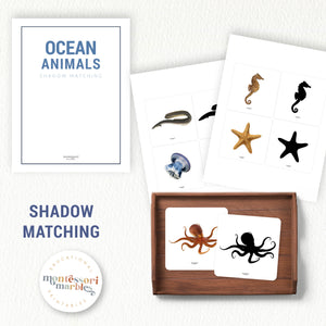 Ocean Animals Mini Bundle