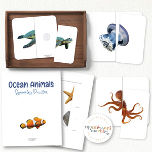 Ocean Animals Symmetry Puzzles