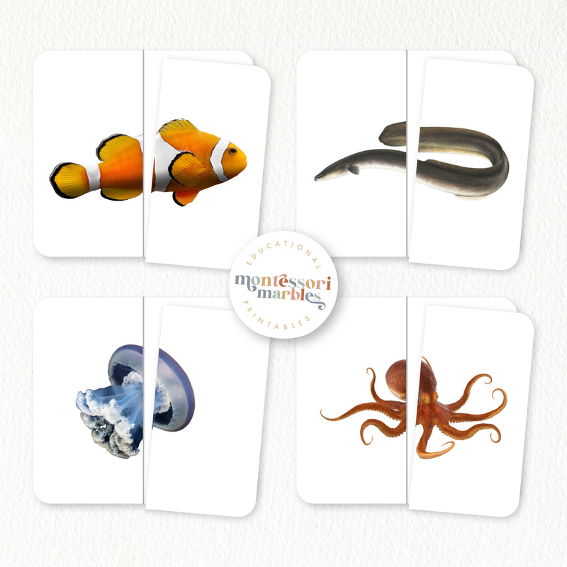 Ocean Animals Two-Piece Puzzles