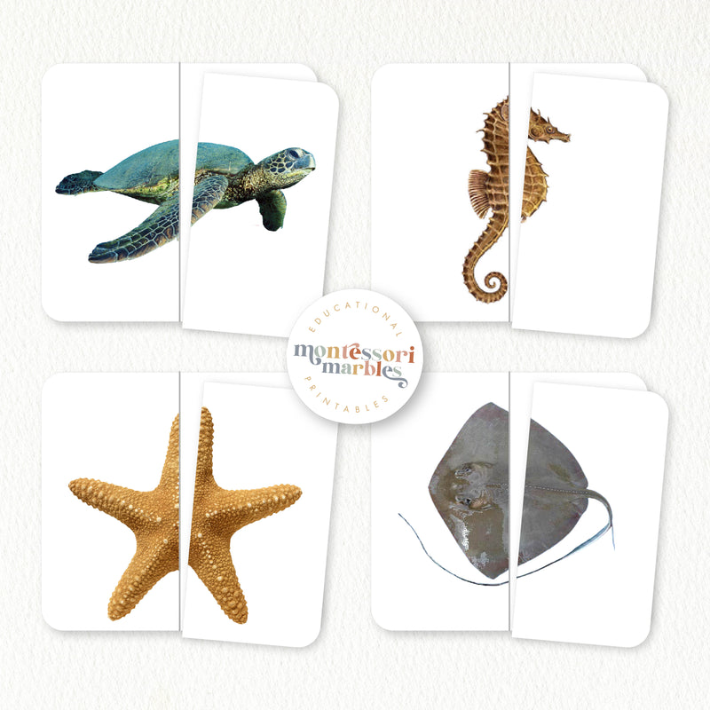 Ocean Animals Two-Piece Puzzles