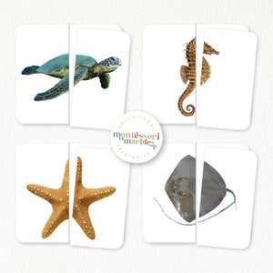 Ocean Animals Symmetry Puzzles