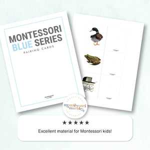 Montessori Blue Series Pairing Cards