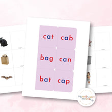 Load image into Gallery viewer, Montessori Pink Series Pairing Cards
