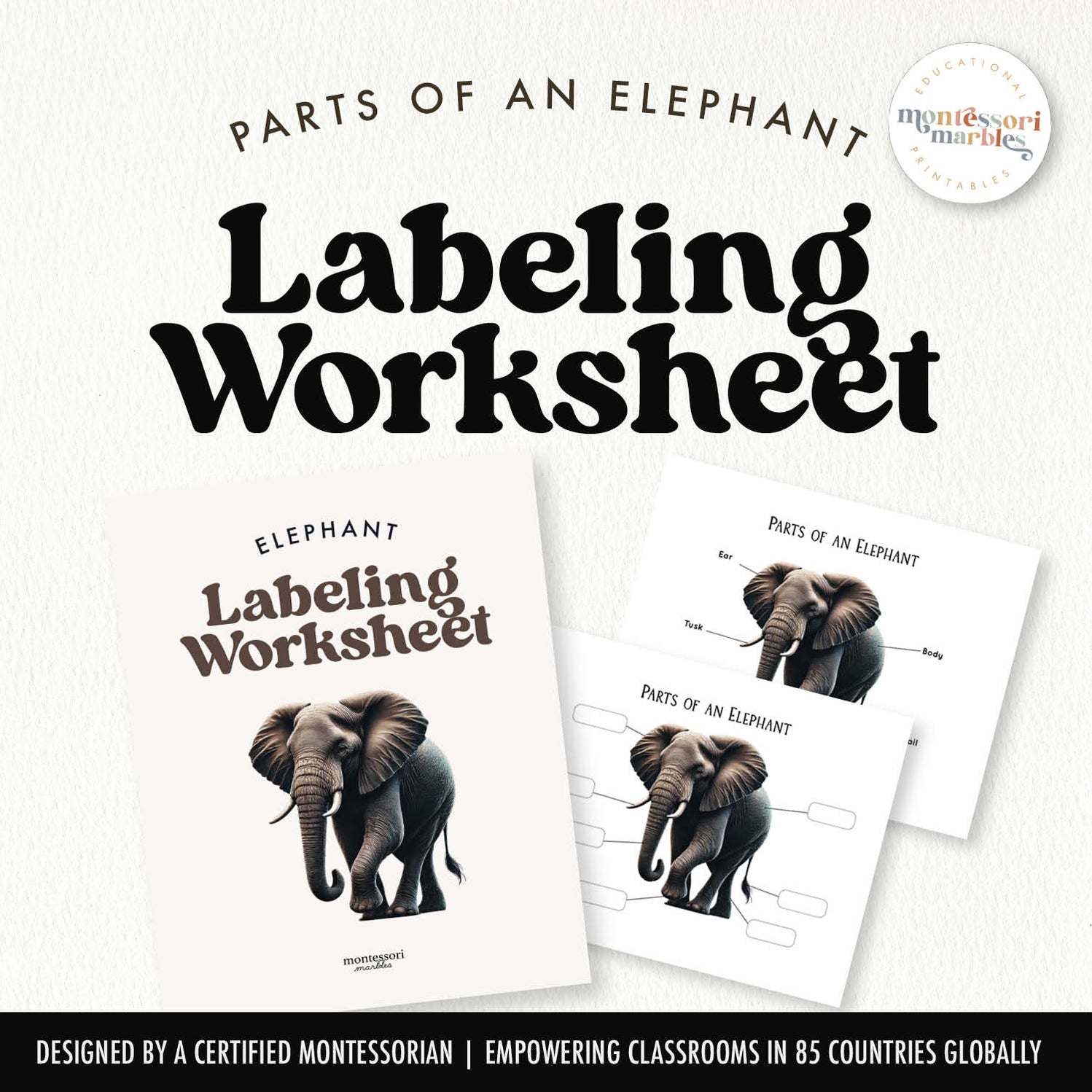Parts of an Elephant | 2 Pages Labeling Poster Zoology Science Ages 5-8 ...