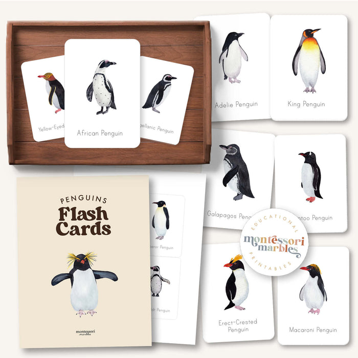 Penguins Flash Cards