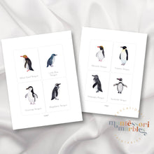 Load image into Gallery viewer, Penguins Flash Cards
