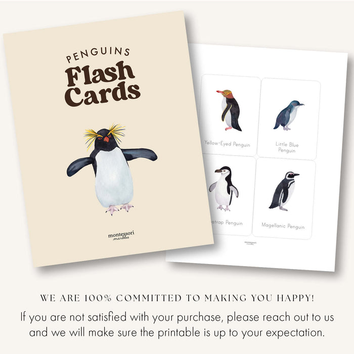 Penguins Flash Cards