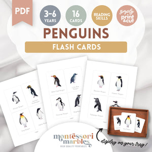 Penguins Flash Cards