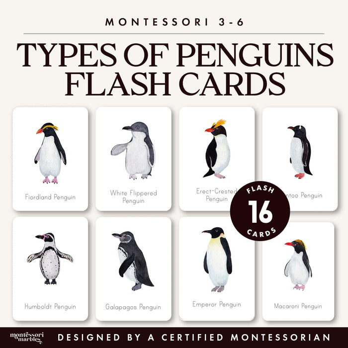 Penguins Flash Cards