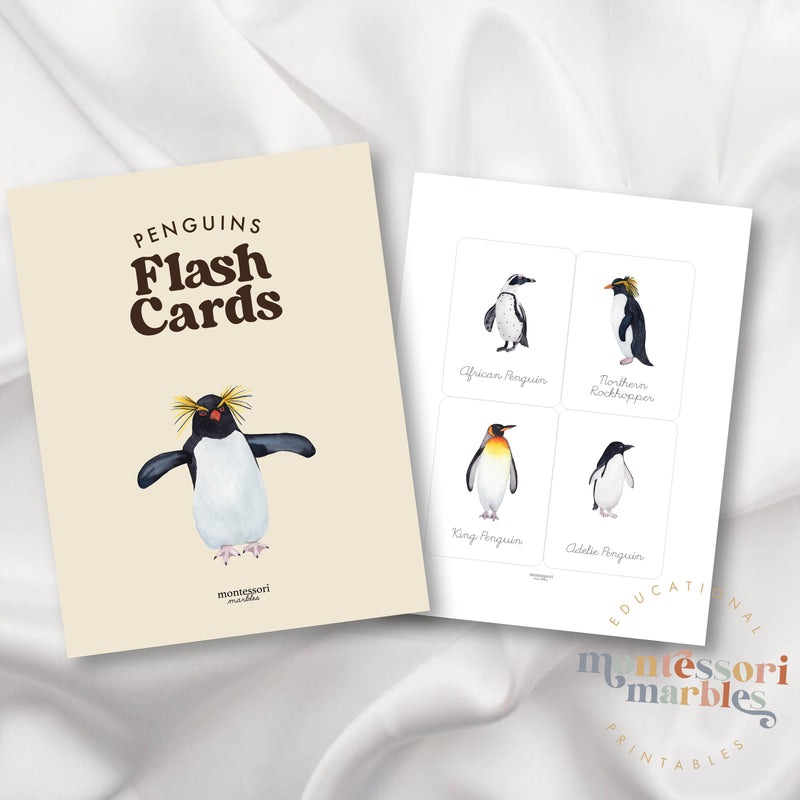 Penguins Flash Cards in Cursive