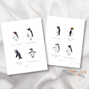 Penguins Flash Cards in Cursive