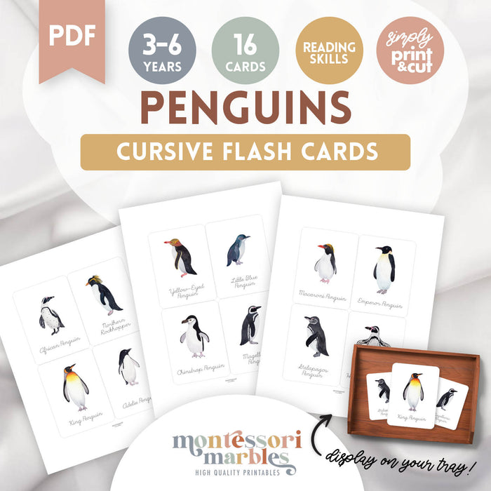 Penguins Flash Cards in Cursive