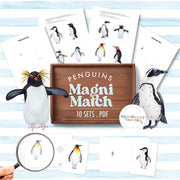 Penguins magnifying glass matching — find and match penguin images with magnifier tool, ages 3-6