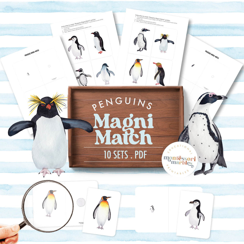 Penguins magnifying glass matching — find and match penguin images with magnifier tool, ages 3-6