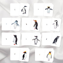 Load image into Gallery viewer, Penguins Magni-Match
