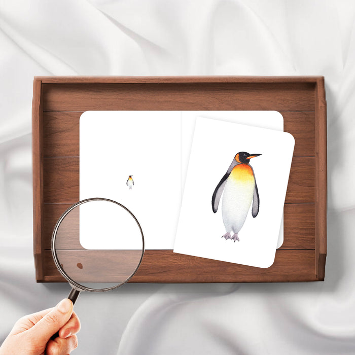 Penguins Magni-Match
