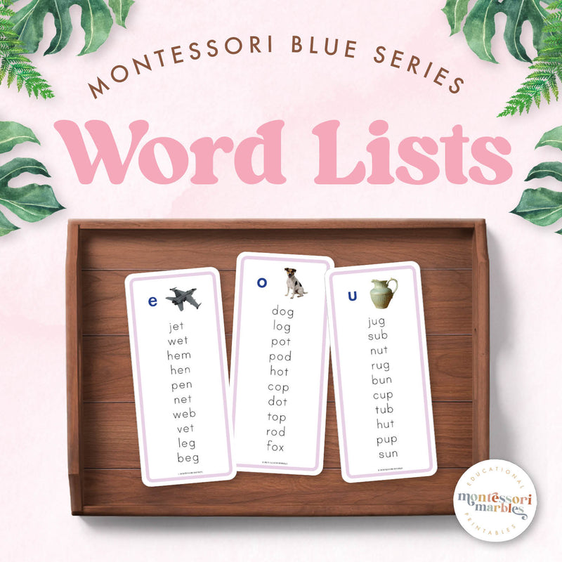 Montessori Pink Series word lists for early reading — ages 3-6
