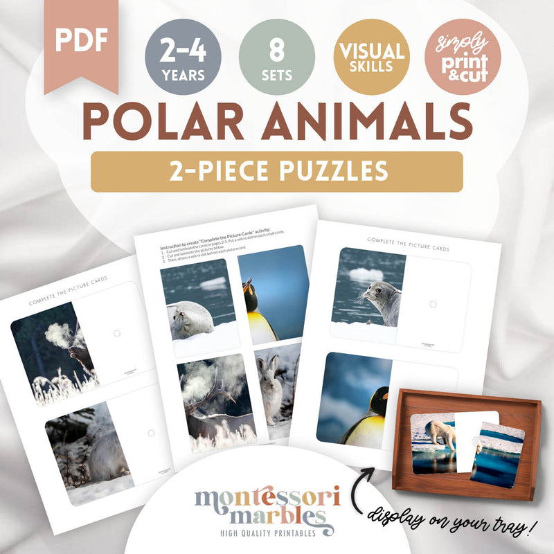 Polar Animals Complete the Pictures