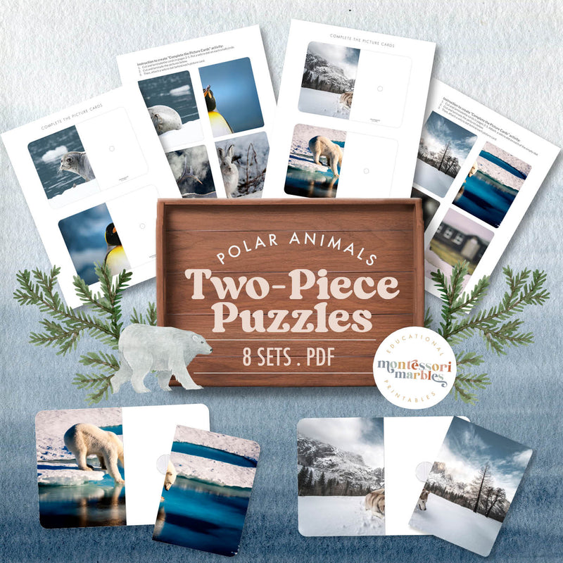 Polar animal picture completion puzzles