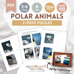 Polar Animals Complete the Pictures