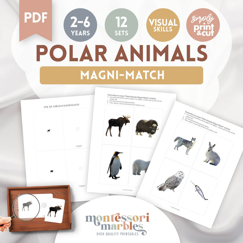 Polar Animals Magni Match
