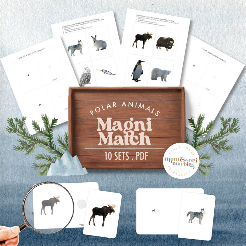 Polar animals magnifying glass matching — find arctic creatures using visual clues, ages 3-6
