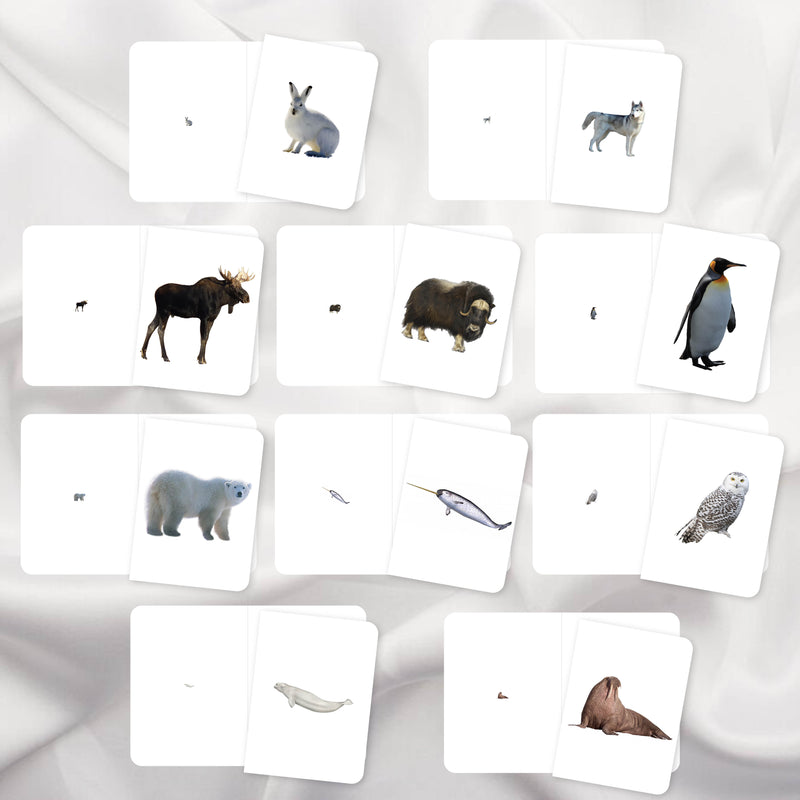 Polar Animals Bundle