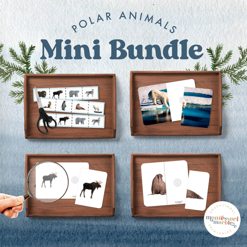 Polar animals activity bundle — winter-themed collection of arctic creature learning, ages 3-6