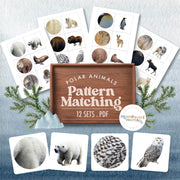 Polar animals pattern matching for winter learning — ages 3-6