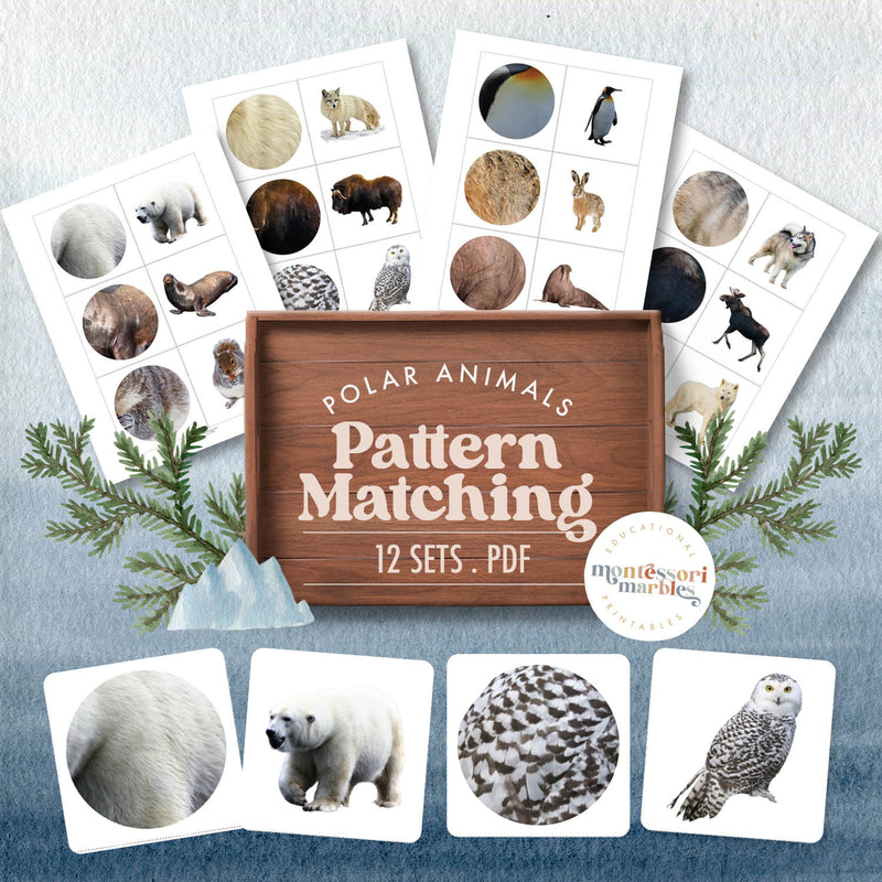 Polar animals pattern matching for winter learning — ages 3-6