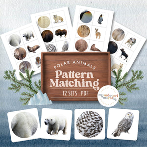 Polar Animals Pattern Matching