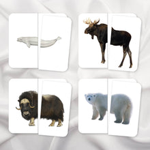 Load image into Gallery viewer, Polar Animals Bundle
