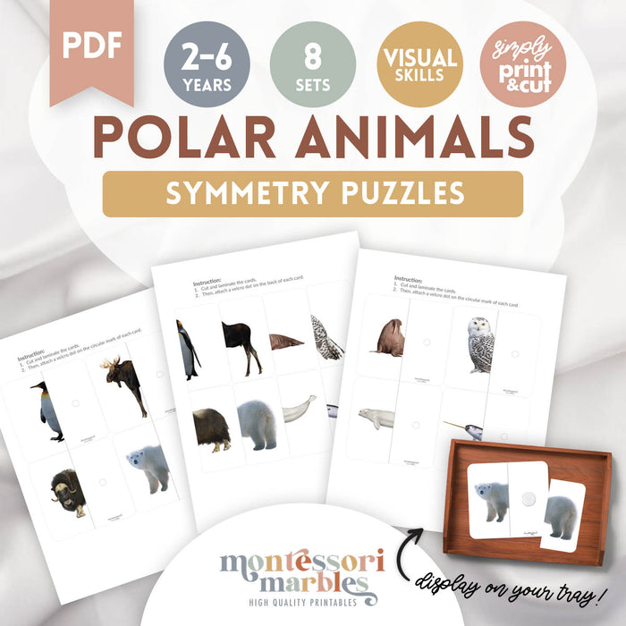Polar Animals Symmetry Puzzles
