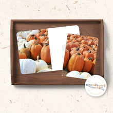 Load image into Gallery viewer, Pumpkins Complete the Pictures
