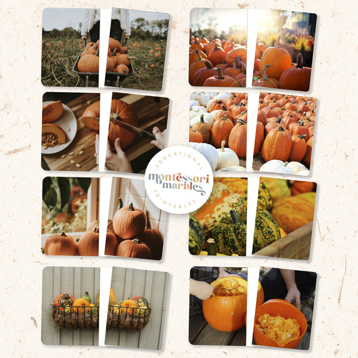 Pumpkins Complete the Pictures