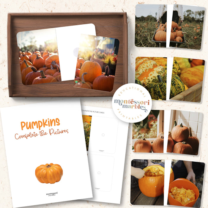 Pumpkins Complete the Pictures