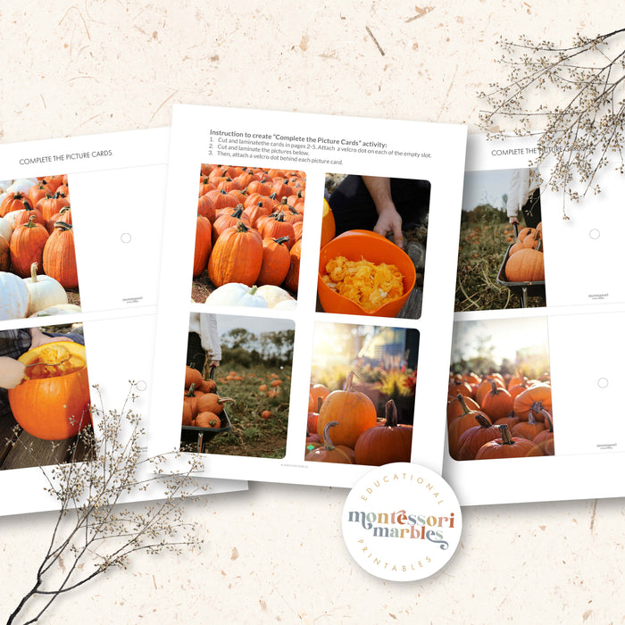 Pumpkins Complete the Pictures